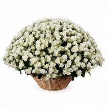 Корзина из 101 белой кустовой розы
